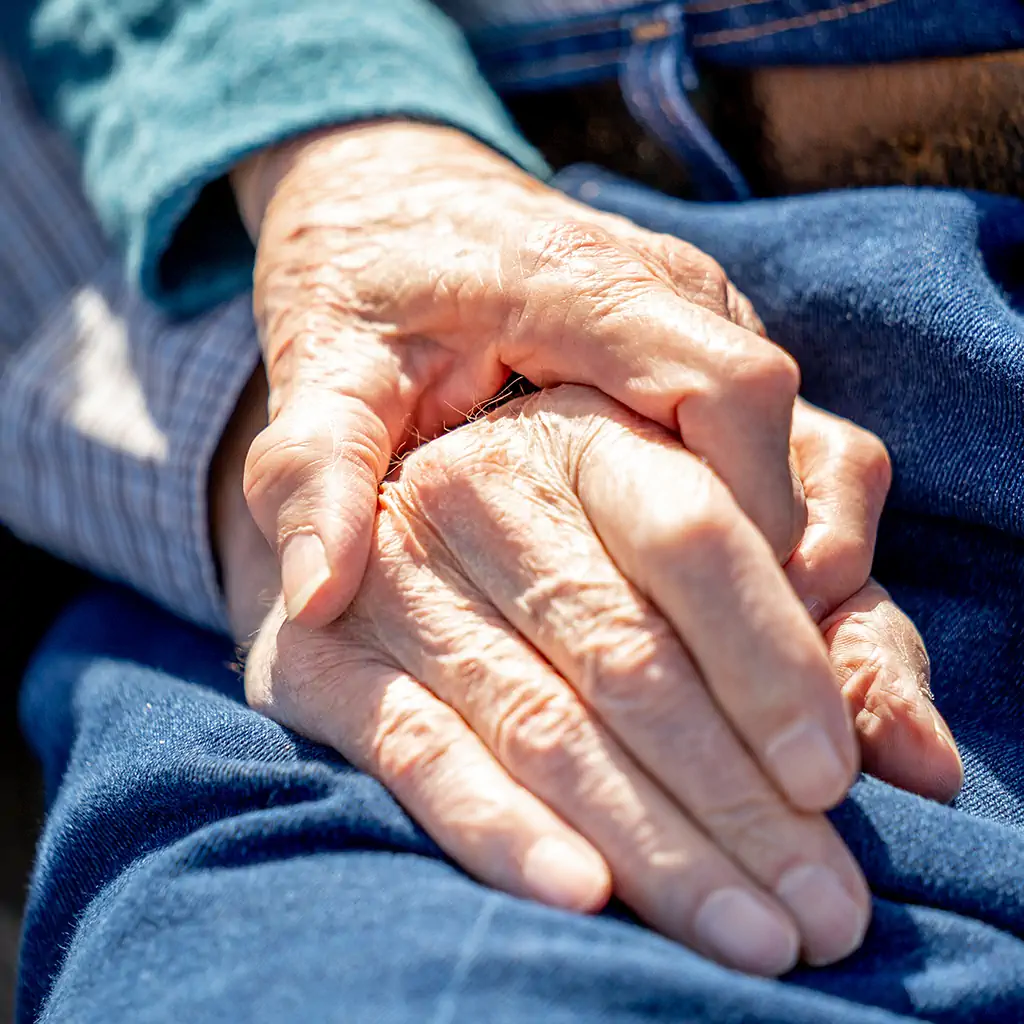Hands